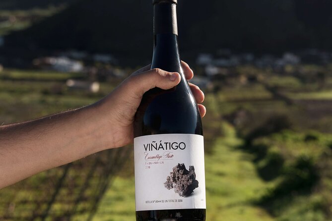 Guided Tour with 6 Wine Tasting - Price, Group Size, and What You Leave With