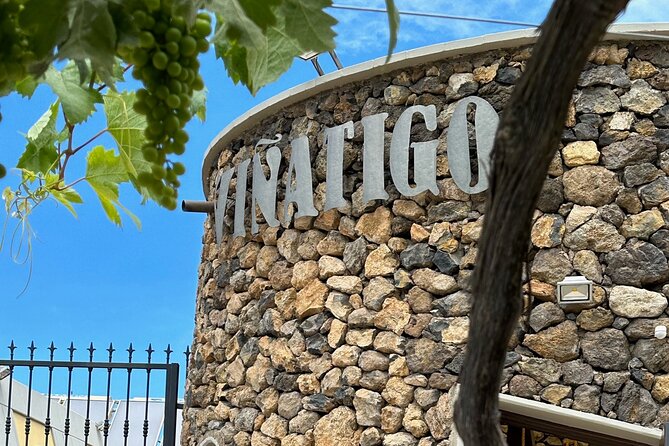 Guided Tour with 6 Wine Tasting - Should You Book This Viñátigo Wine Tour in Tenerife?