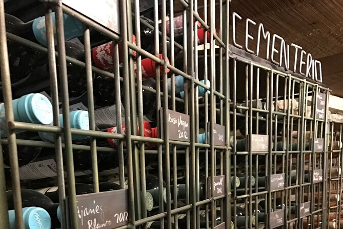 Guided Tour with 6 Wine Tasting - Terraced Wine-Making Stages You Can See Up Close