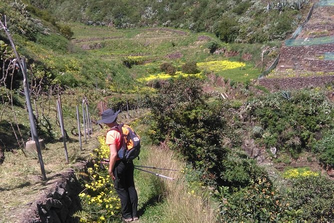 Hiking tour in the Anaga biosphere reserve in Tenerife - Getting to Anaga Like a Local: Bus From La Laguna