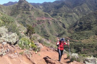 Hiking tour in the Anaga biosphere reserve in Tenerife - Mammoth Plants, Endemics, and Birds: What You’re Really Looking For