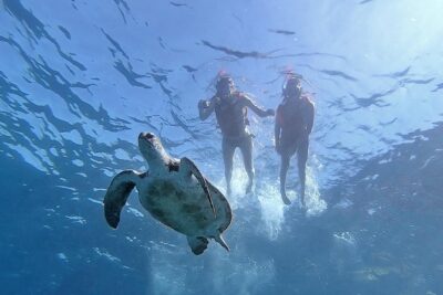Kayak with Dolphin & Turtle Watching Private Tour - The Route: From Teno-Rasca to Palmar Cave (and Why Each Stop Matters)