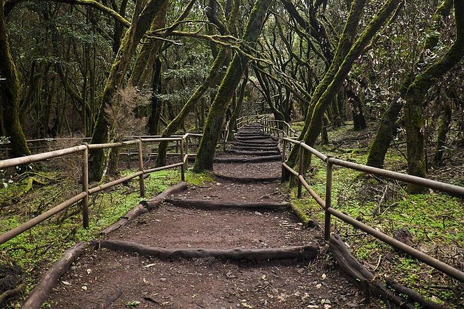 La Gomera Island Tour - Valle de Hermigua: Views You Don’t Need to Interpret