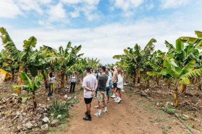 La Orotava: Eco Banana Plantation Tour with Banana Liquor - Getting there: El Rincón Road basics before you go