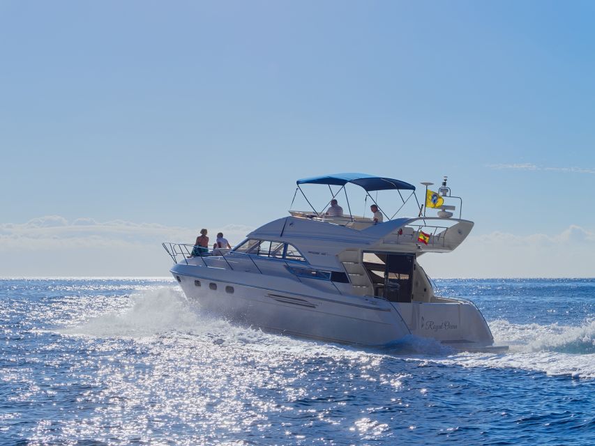 Las Galletas: Private Luxury Yacht Cruise with Lunch - Price and Value: Why $883 for Up to 8 Can Be Worth It