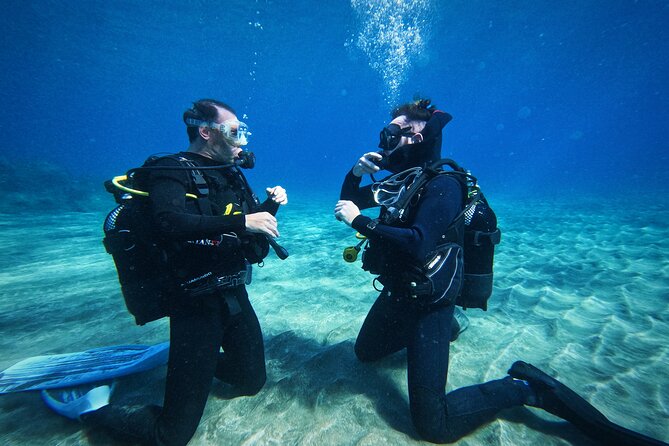 Learn Scuba Diving in Tenerife with Photos Included - How the 2–3 Day Schedule Really Works