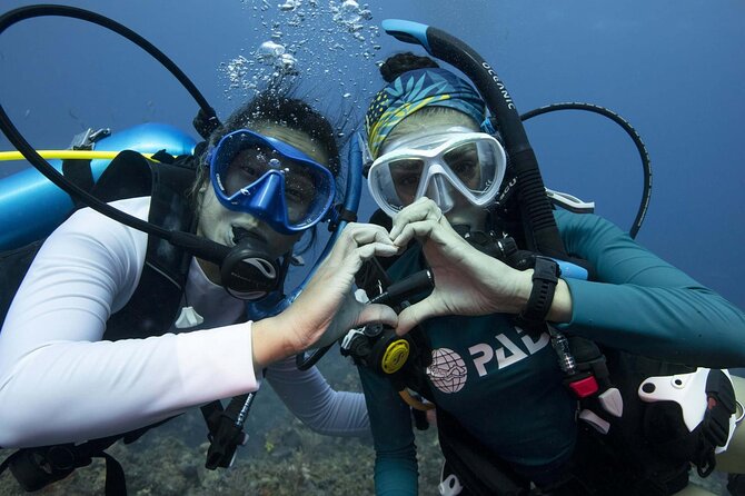 Learn Scuba Diving in Tenerife with Photos Included - Who This Course Fits Best (and Who Should Think Twice)