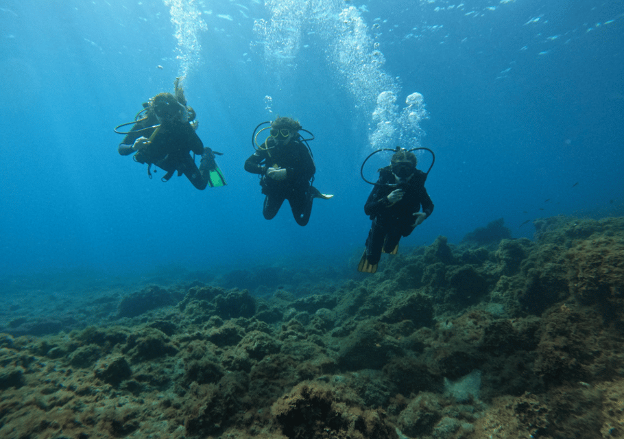 Los Cristianos: Basic Diver Course - Key highlights I think matter