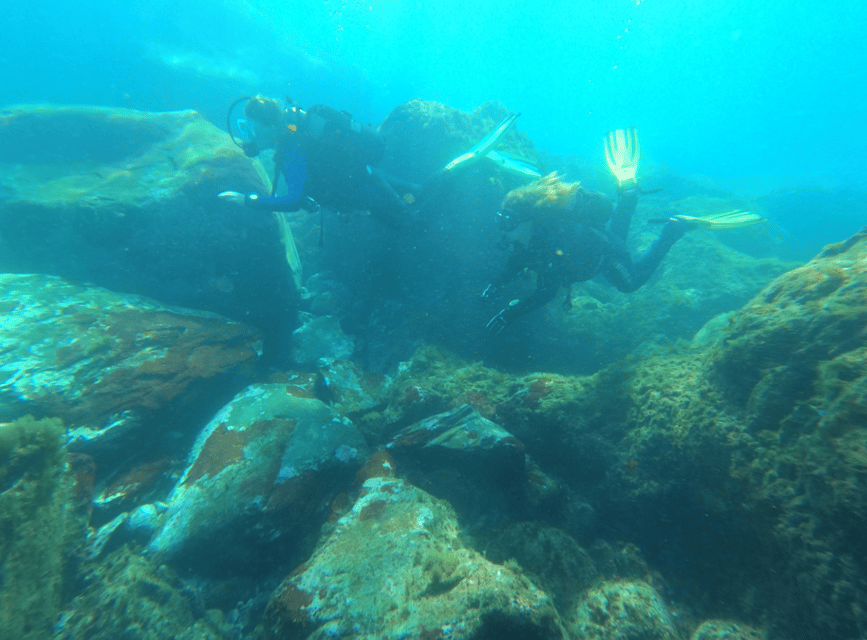 Los Cristianos: Basic Diver Course - The first stage: shallow-water skills that build confidence fast