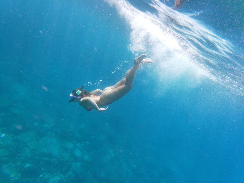 Los Cristianos: Kayak and Snorkel with Turtles and Photos - Guides Make the Difference: The Human Side of the Ocean