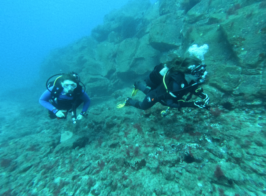 Los Cristianos: Try Dive for beginners - Practical tips to make your first session smoother