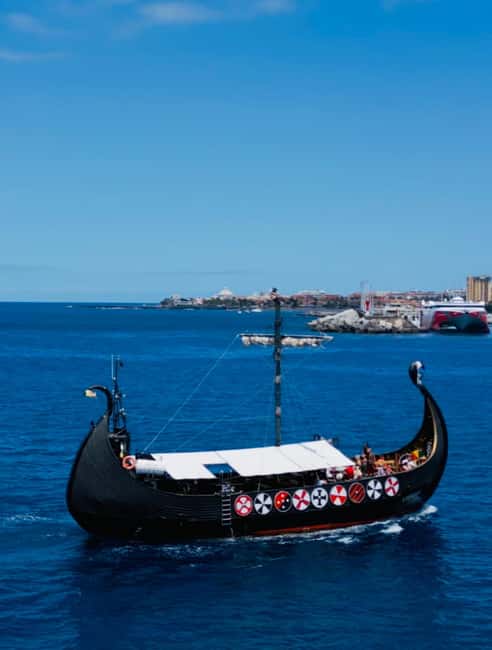 Los Cristianos: Viking Cruise Whales & Dolphins Watching - What happens during the sailing: safety, scanning, and real-time excitement