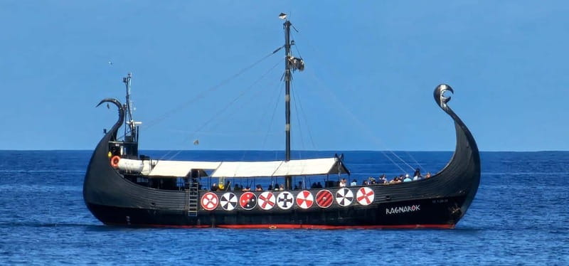Los Cristianos: Viking Cruise Whales & Dolphins Watching - Price value: is $20 really fair for a Viking whale watch?