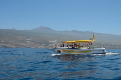 Los Gigantes: Dolphin & Whale Watching Cruise with Swim Stop - Whale and Dolphin Watching in the Teno-Rasca Sanctuary (Without Fake Certainty)