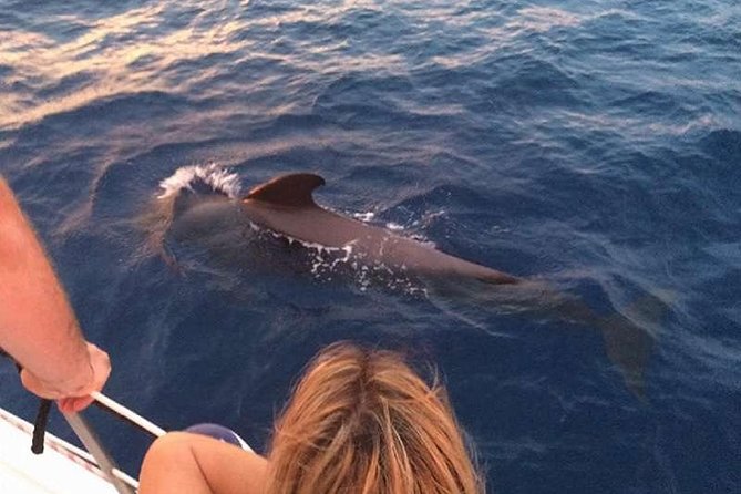 Luxury 3 Hour Yacht Private Charter - What Happens Once You’re on the Yacht