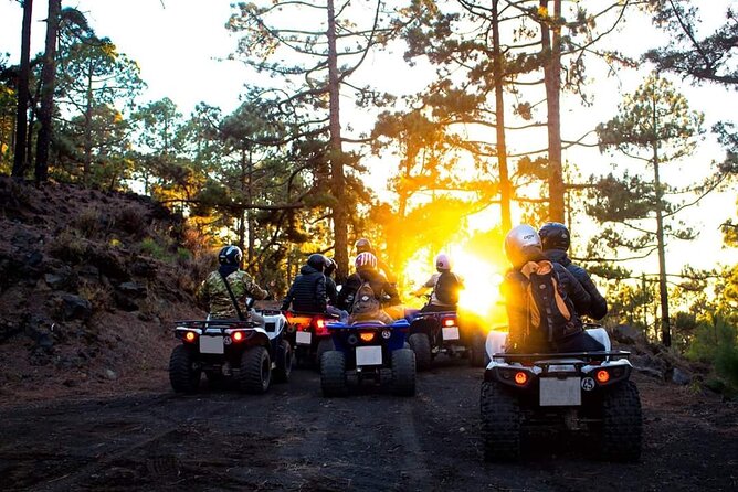 Masca Valley Guided Buggy Tour. Small Group. - The Four-Hour Flow: How the Day Stays Fun Instead of Exhausting