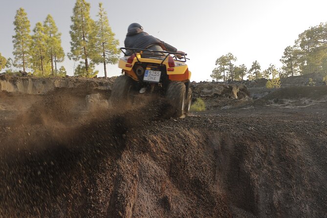 Masca Valley Guided Buggy Tour. Small Group. - Serpentine Roads: Where the Tour Gets Real