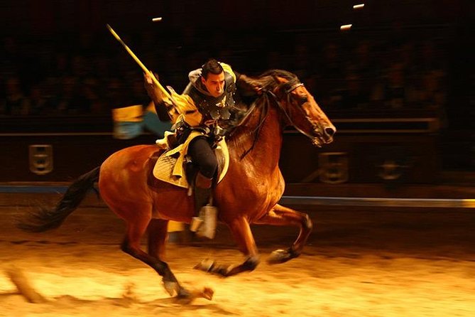 Medieval Show and Dinner at Castillo San Miguel with Transfer - Who should book this medieval show and dinner?