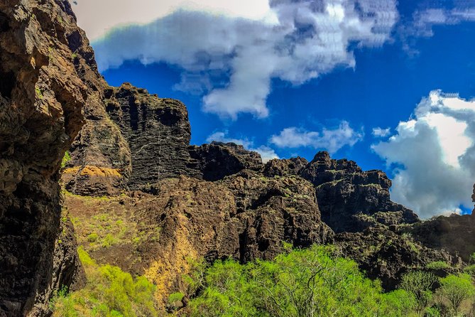 Mount Teide and Teno Country Park Private Tour - The “From 8:30, Then Go” Plan That Actually Works