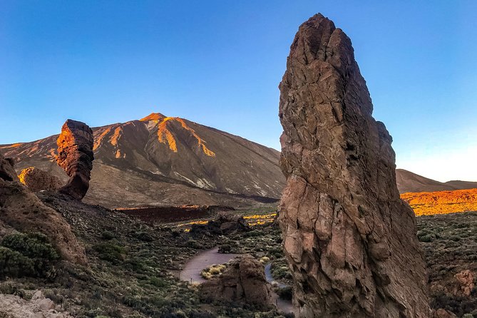Mount Teide and Teno Country Park Private Tour - The Electric Van Advantage: Comfort Without the Guilt Trip