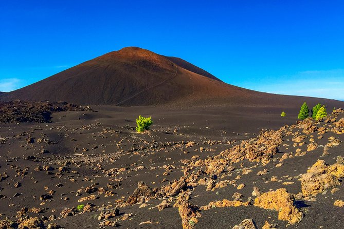 Mount Teide and Teno Country Park Private Tour - Price and Value: What You’re Actually Paying For