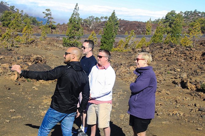 Mount Teide and Teno Country Park Private Tour - Who This Tour Fits Best (And Who Might Want Another Option)
