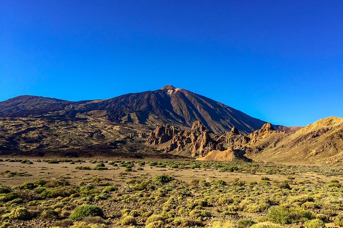 Mount Teide and Teno Country Park Private Tour - Teno National Park: Dry Plants, Sharp Terrain, and Unhurried Photo Moments