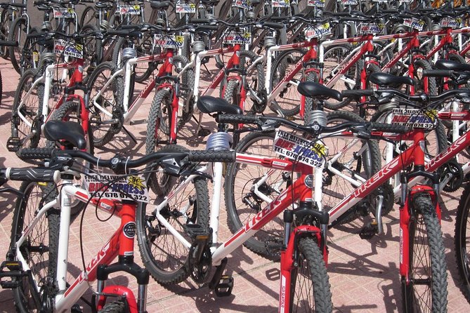 Mountain Bike Rental Tenerife - What This Rental Is Best For (And Who Might Skip It)