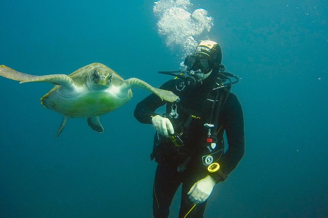 OPEN WATER CERTIFICATION - Become an autonomous diver up to 18m ! - Tenerife is a smart place to earn PADI Open Water up to 18m