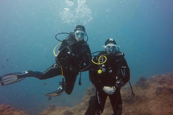 OPEN WATER CERTIFICATION - Become an autonomous diver up to 18m ! - Timing, logistics, and the weather reality in Las Galletas