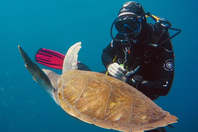 OPEN WATER CERTIFICATION - Become an autonomous diver up to 18m ! - What happens on the boat and in the water