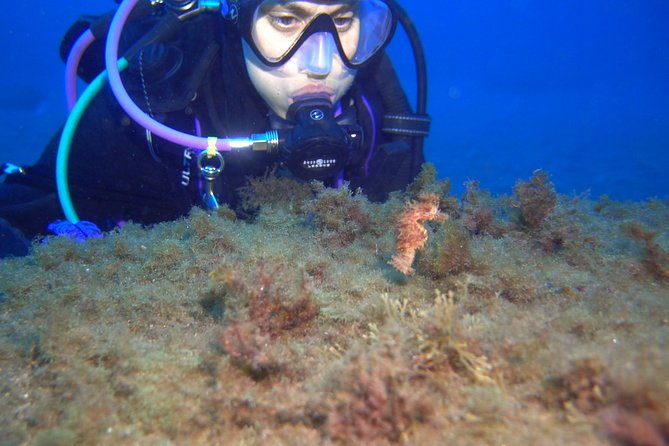 PADI Advanced Open Water Diver Course (AOWD) - 2 days - Scubanana’s setup in Puerto Deportivo (and why it matters)