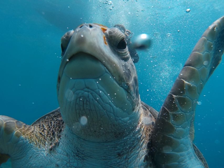 PADI Open Water Course in 3 Days - Equipment, insurance, and what’s included (so you can budget cleanly)
