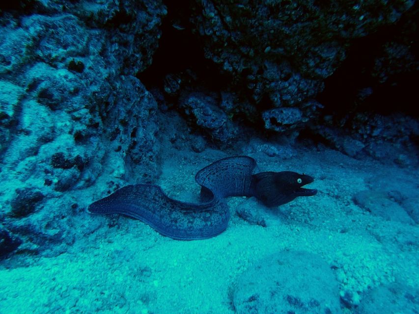 PADI Open Water Course in 3 Days - Pickup and getting to the start: don’t ignore the fine print