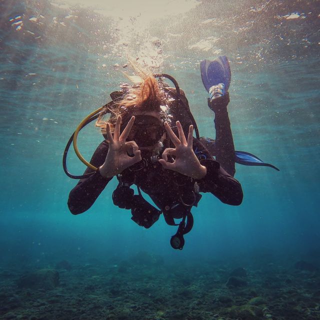 PADI Open Water Course in 3 Days - Tenerife for beginners: why this location suits your first certification
