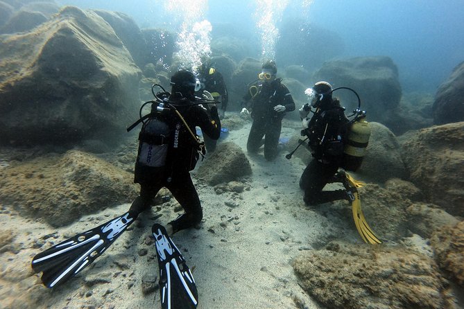 PADI Open Water Course in Costa Adeje - What you’re signing up for in Costa Adeje