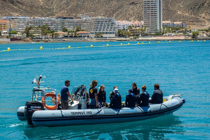 PADI Open Water course in Playa de las Americas - Meeting Point and Getting There Without Stress
