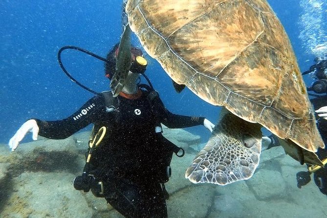 PADI Scuba Dive Course in Costa Adeje - Costa Adeje meeting point and how the 3-hour flow works