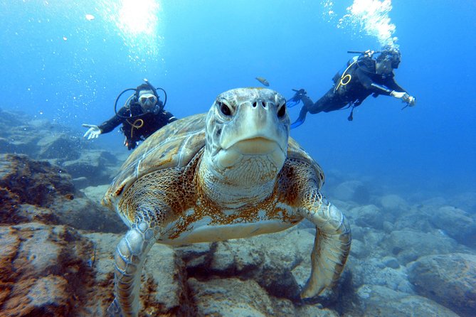 PADI Scuba Dive Course in Costa Adeje - Price and value: when $300.67 makes sense