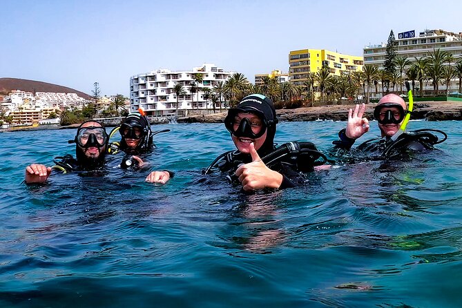 PADI Scuba Diving Courses in Tenerife: All Specialities Until Divemaster - West coast Tenerife underwater sessions: marine life and the training vibe