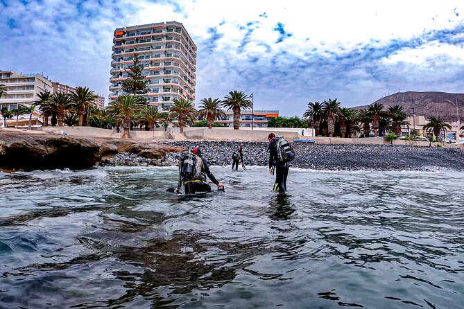 PADI Scuba Diving Courses in Tenerife: All Specialities Until Divemaster - Friendly professional instruction: what the school gets right