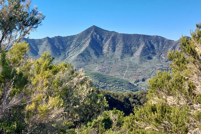 Panoramic route across the Teno rural Park in Tenerife - Elevation, pace, and who this hike suits