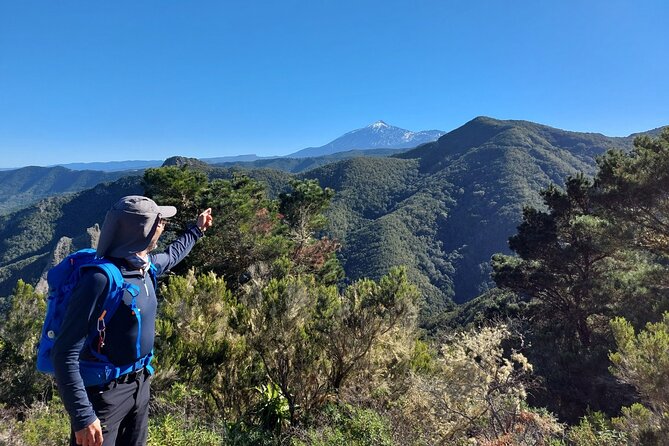 Panoramic route across the Teno rural Park in Tenerife - Optional regional gastronomy: goat cheese, wine, and pastries