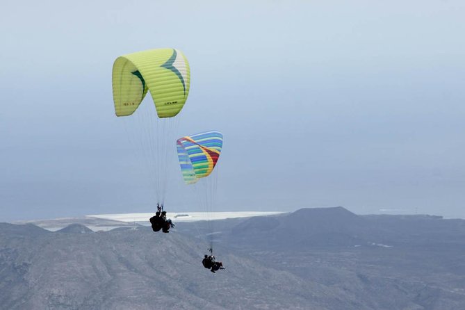 Paragliding Epic Experience in Tenerife with the Spanish Champion Team - Key takeaways before you go