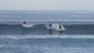 Playa de Las Americas: Surfing Group Lesson with equipment - Finding Ocean Life Tenerife at Parque Santiago 2 (it’s easier than it sounds)