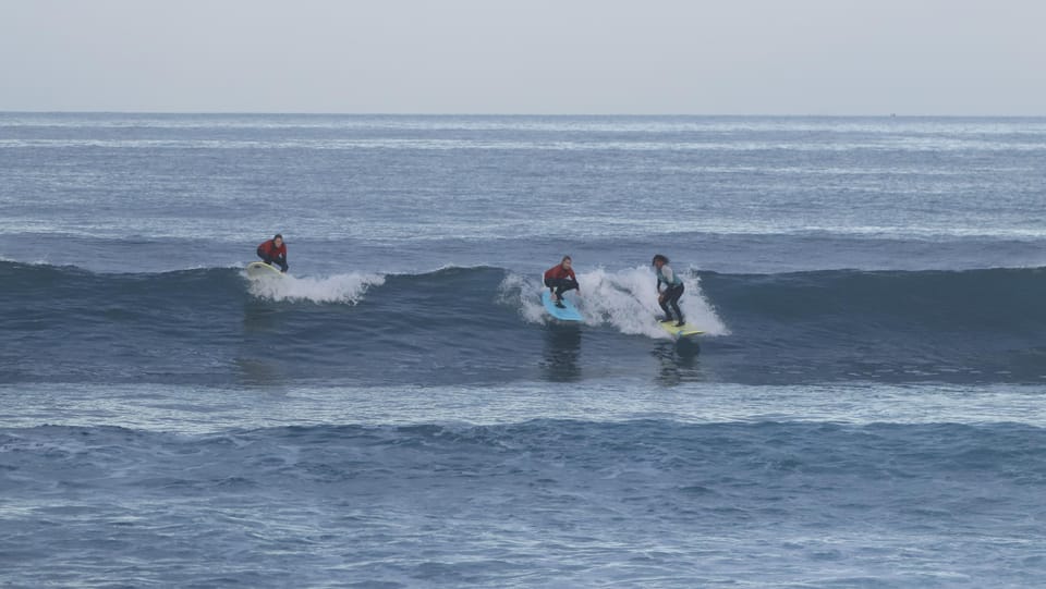 Playa de Las Americas: Surfing Group Lesson with equipment - Finding Ocean Life Tenerife at Parque Santiago 2 (it’s easier than it sounds)