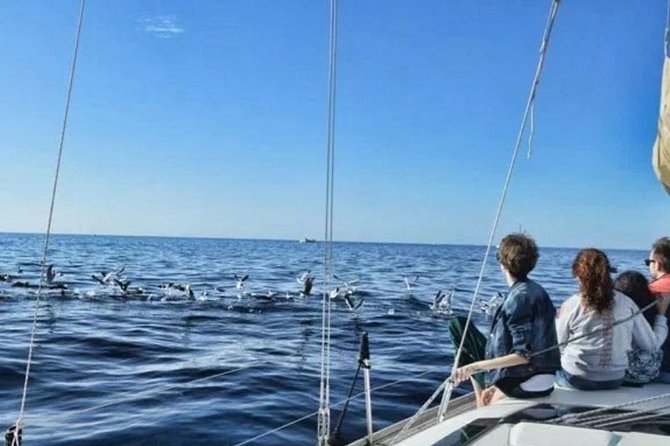 Premium Yacht Private Charter - How the booking support feels (and why it matters)