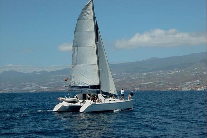 Prestigious cruiser private charter - Key highlights you’ll care about