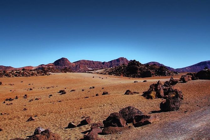 Private 8 hours Tour to El Teide from Tenerife Hotel with driver/guide - Teide in Your Own Rhythm (Not a Bus Schedule)
