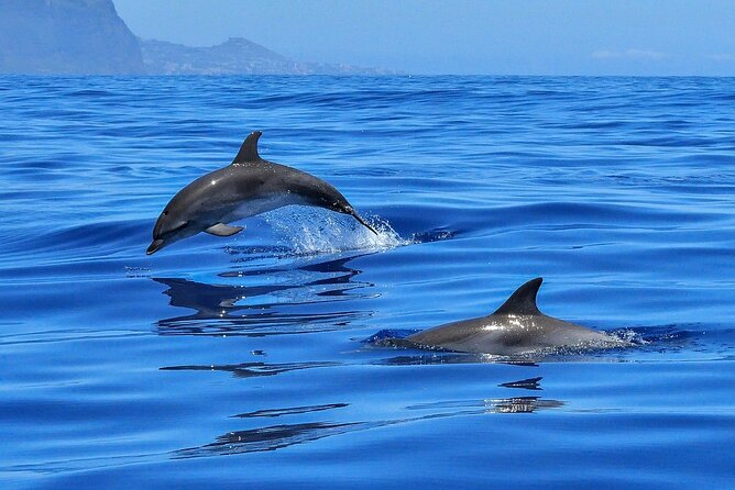 Private boat tour - Price and value: is $417 per group reasonable?